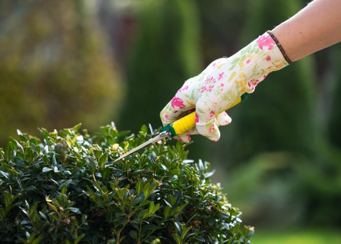 Technician inspecting a lawn before mowing