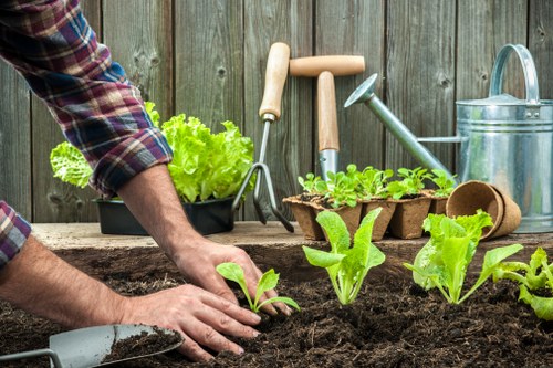 Professional lawn mowing service in Yeading