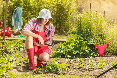 Seasonal lawn care preparations in Yeading