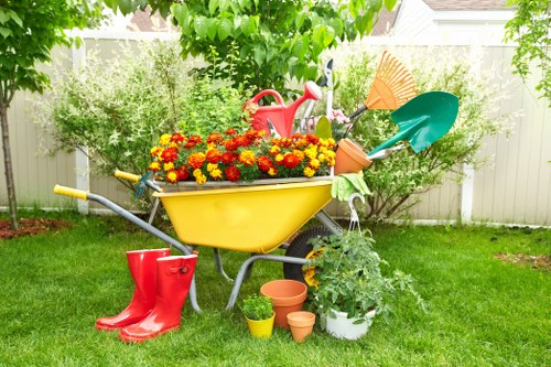Variety of plants and flowers in a Yeading garden