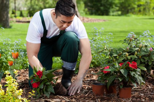 Eco-friendly lawn maintenance practices