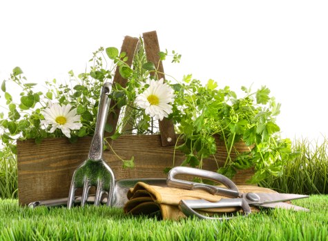Lush green lawn maintained by Yeading landscaping professionals