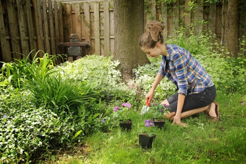 Natural pest control in a Yeading garden