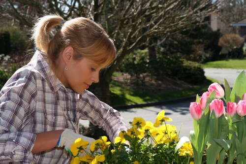 Beautiful green lawn maintained by professionals